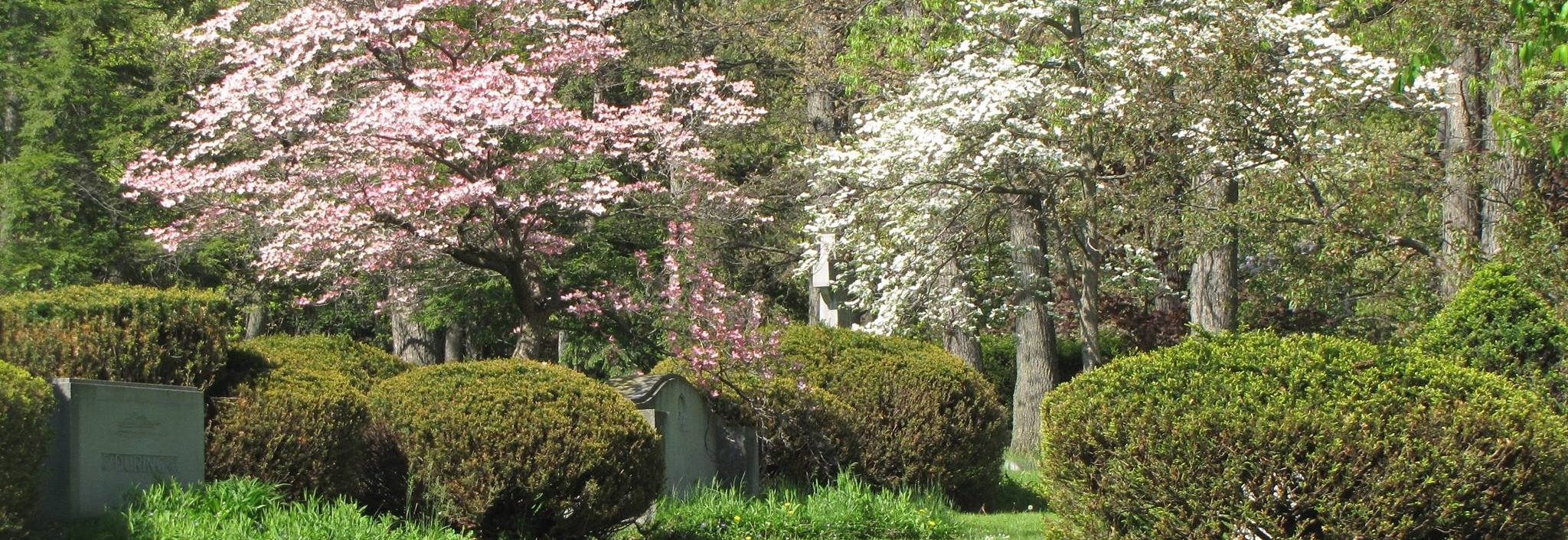 Oakwood Cemetery in the Spring time