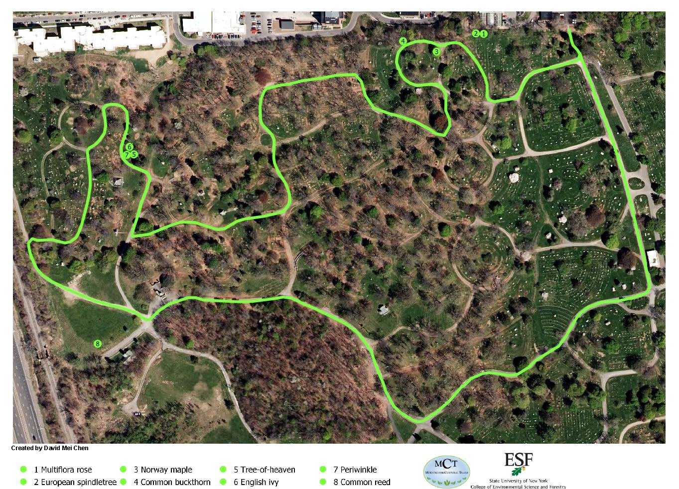 Oakwood Cemetery Invasive Trail map